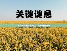 罗马连续两年遭淘汰，主帅面临压力