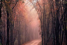 马德里竞技今晚将对阵莱加内斯，备受瞩目