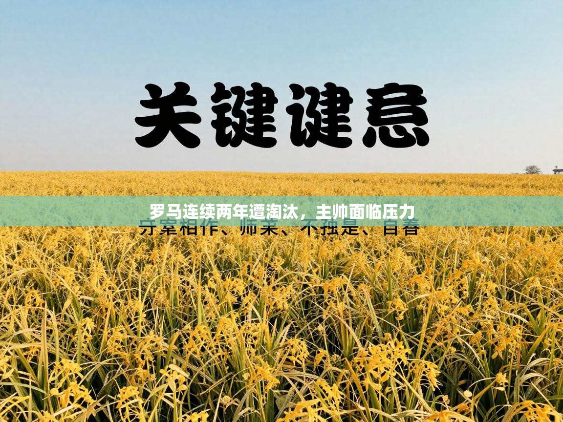 罗马连续两年遭淘汰,主帅面临压力 第1张